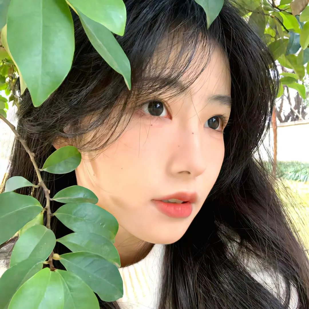 恋爱局中局 在线观看封面